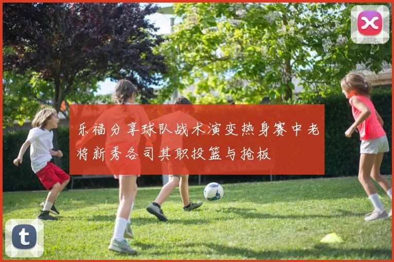 乐福分享球队战术演变热身赛中老将新秀各司其职投篮与抢板